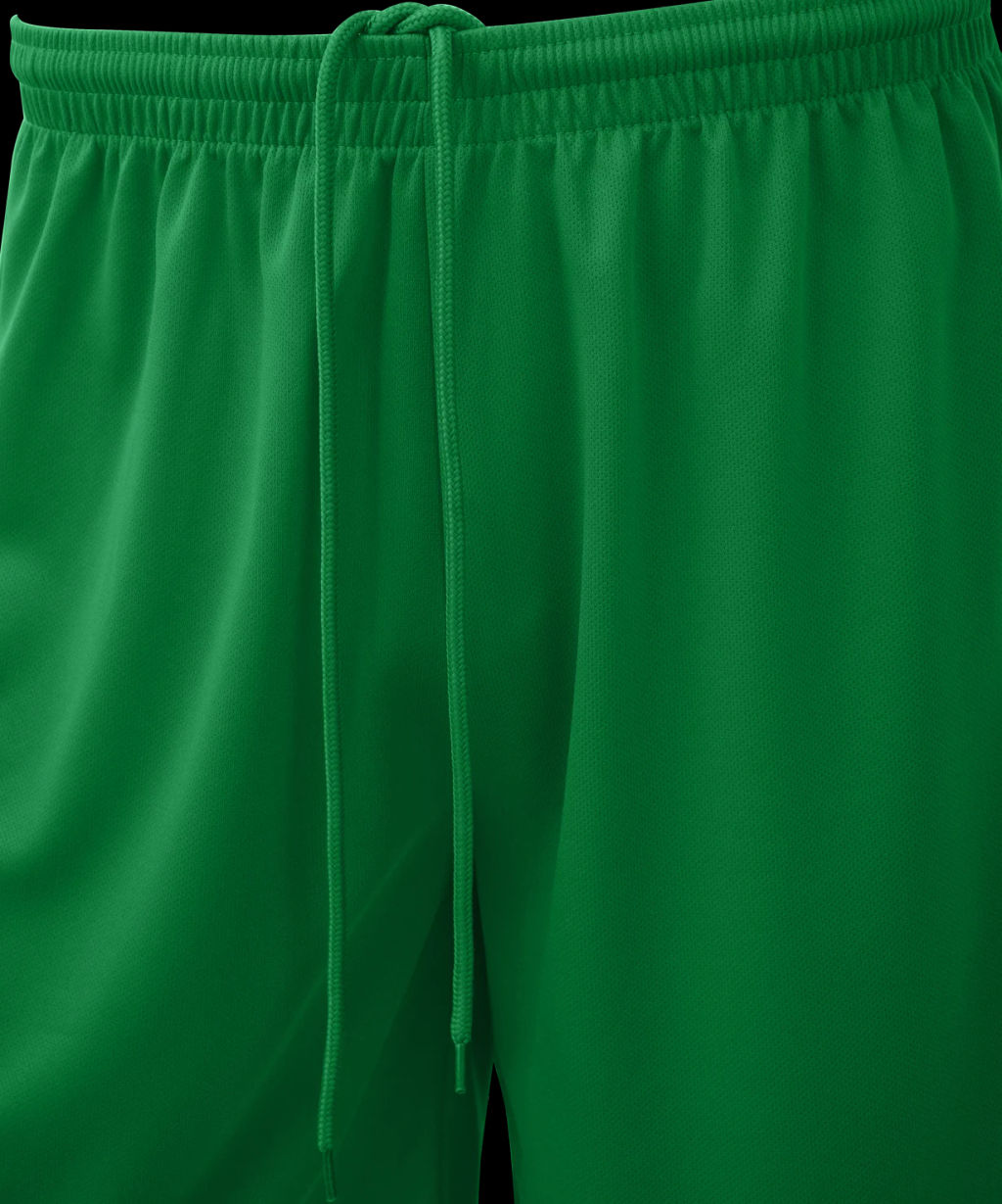 Шорты баскетбольные JOGEL CAMP Basic, зеленый