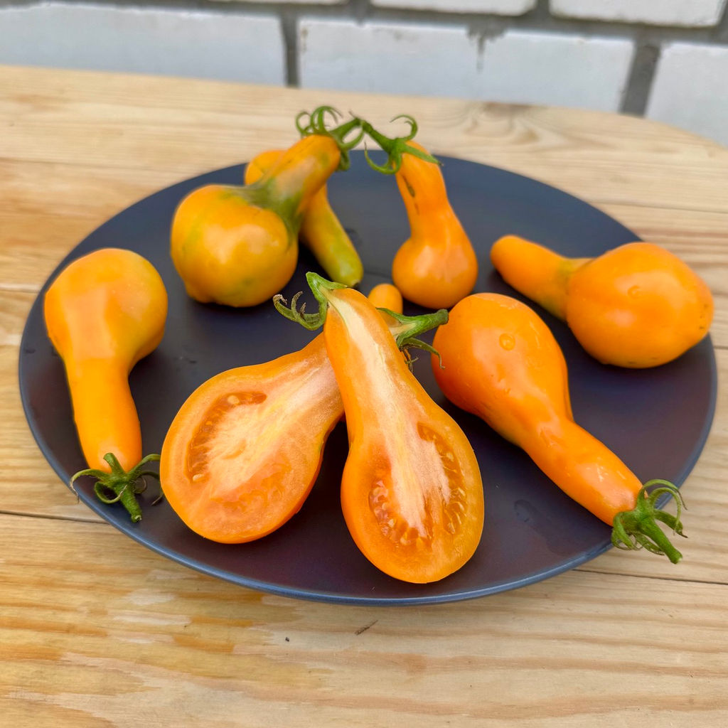 Мила НОВИНКА 2025 года!