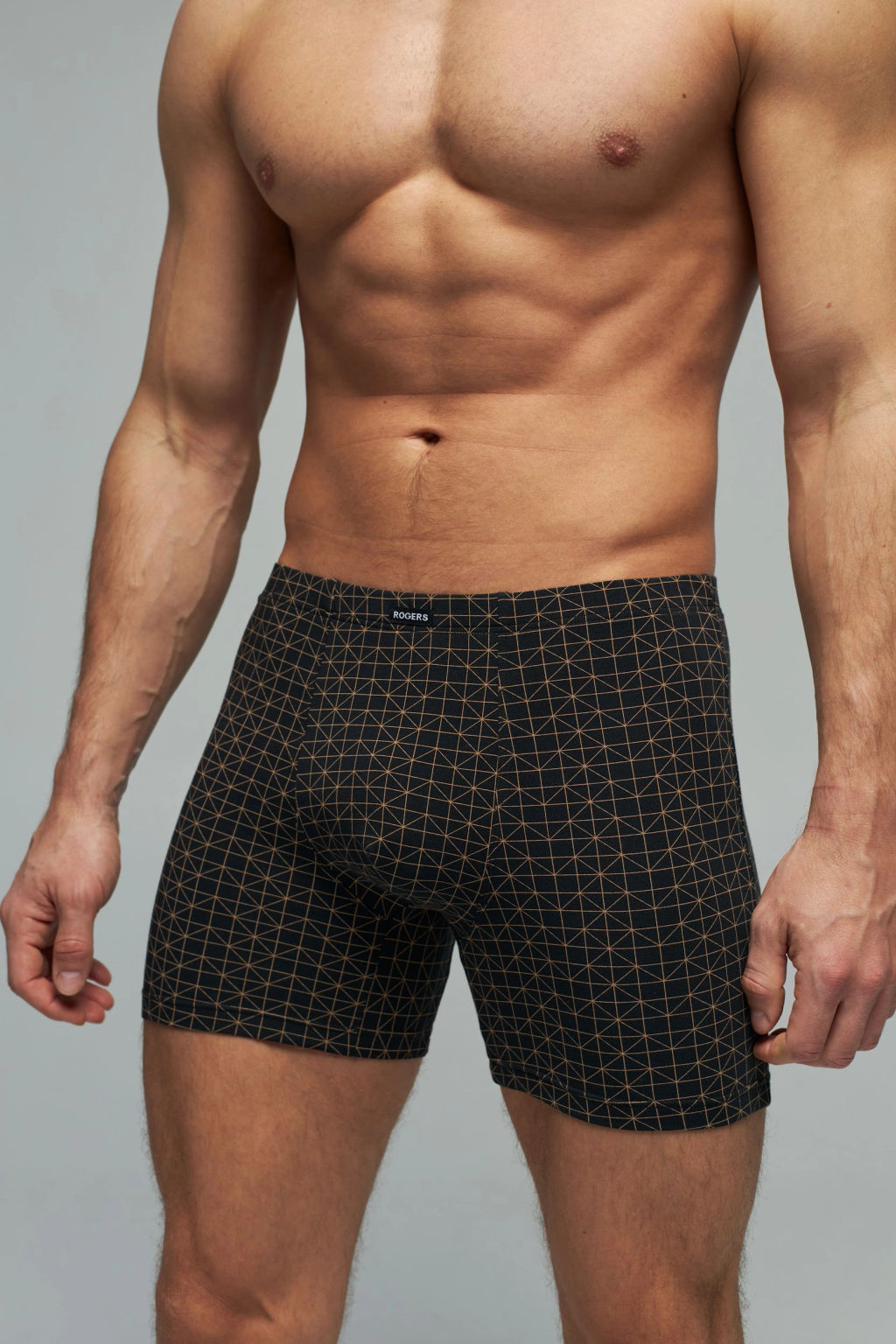 Трусы мужские боксеры Rogers 8703 хлопок, эластан размеры M, L, XL, 2XL  фото 3