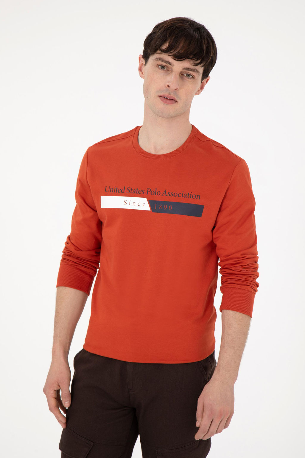 Мужской свитшот с плиткой Неожиданная скидка в корзине - U.s. polo assn фото 10
