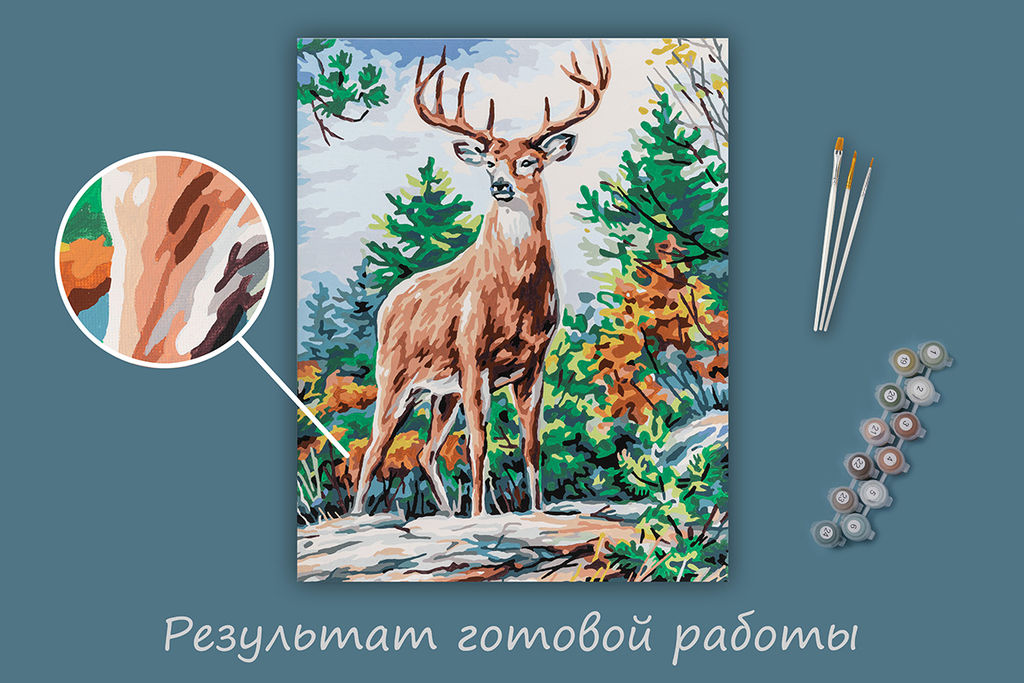 ФРЕЯ PNB/PLC-283 Набор для раскрашивания по номерам ( цветной холст ) 50 х 40 см Великолепный олень