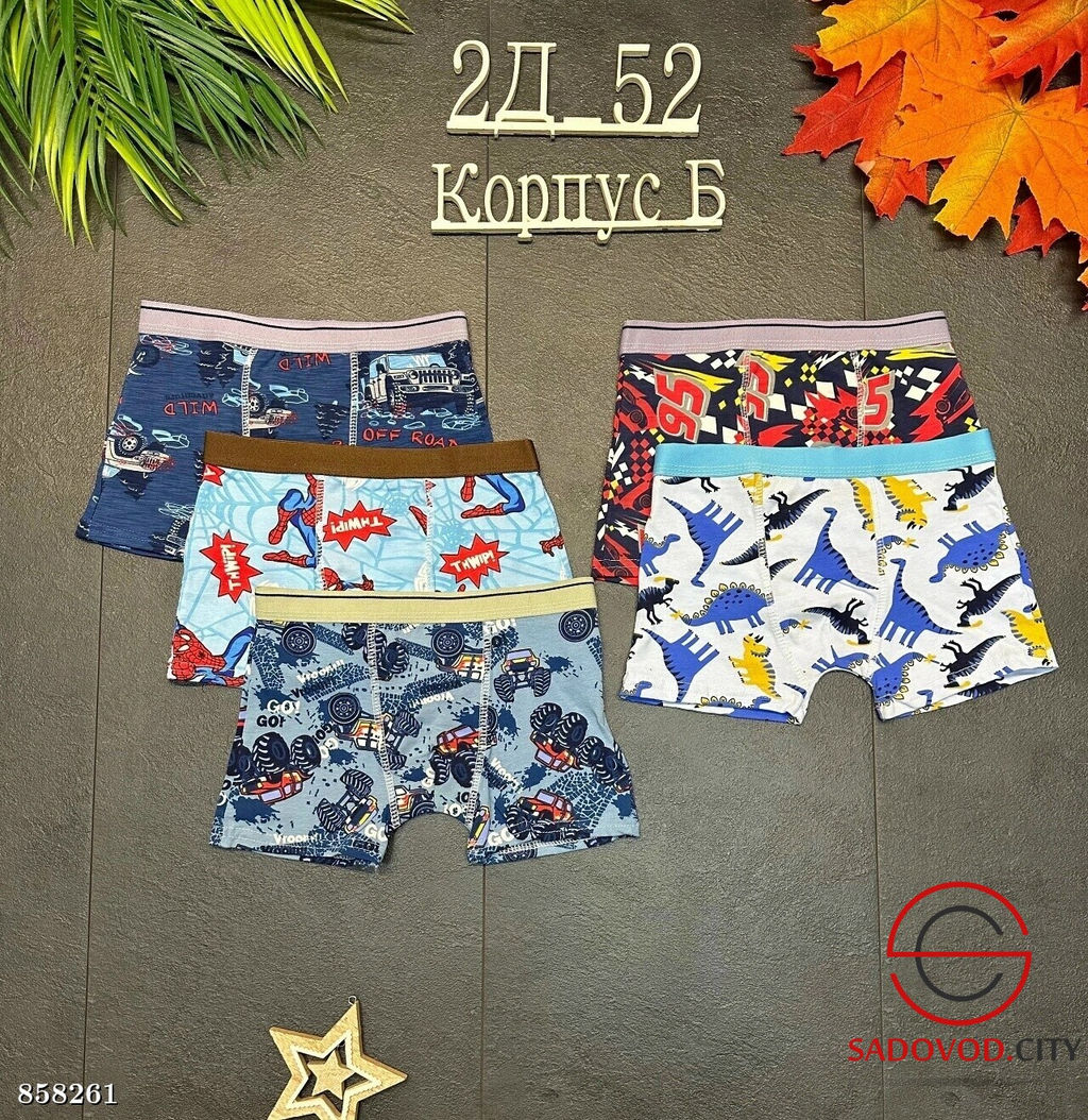 Трусы-шорты для мальчика - Fiona фото 2