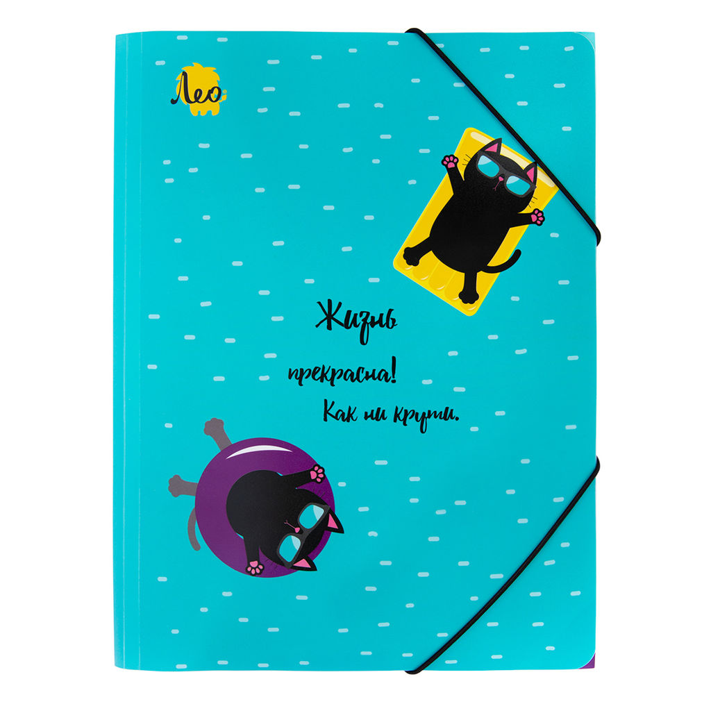 Лео Учись Папка на резинке A5 LRF-07 450 мкм 25 мм песок 6 шт. 02-Коты