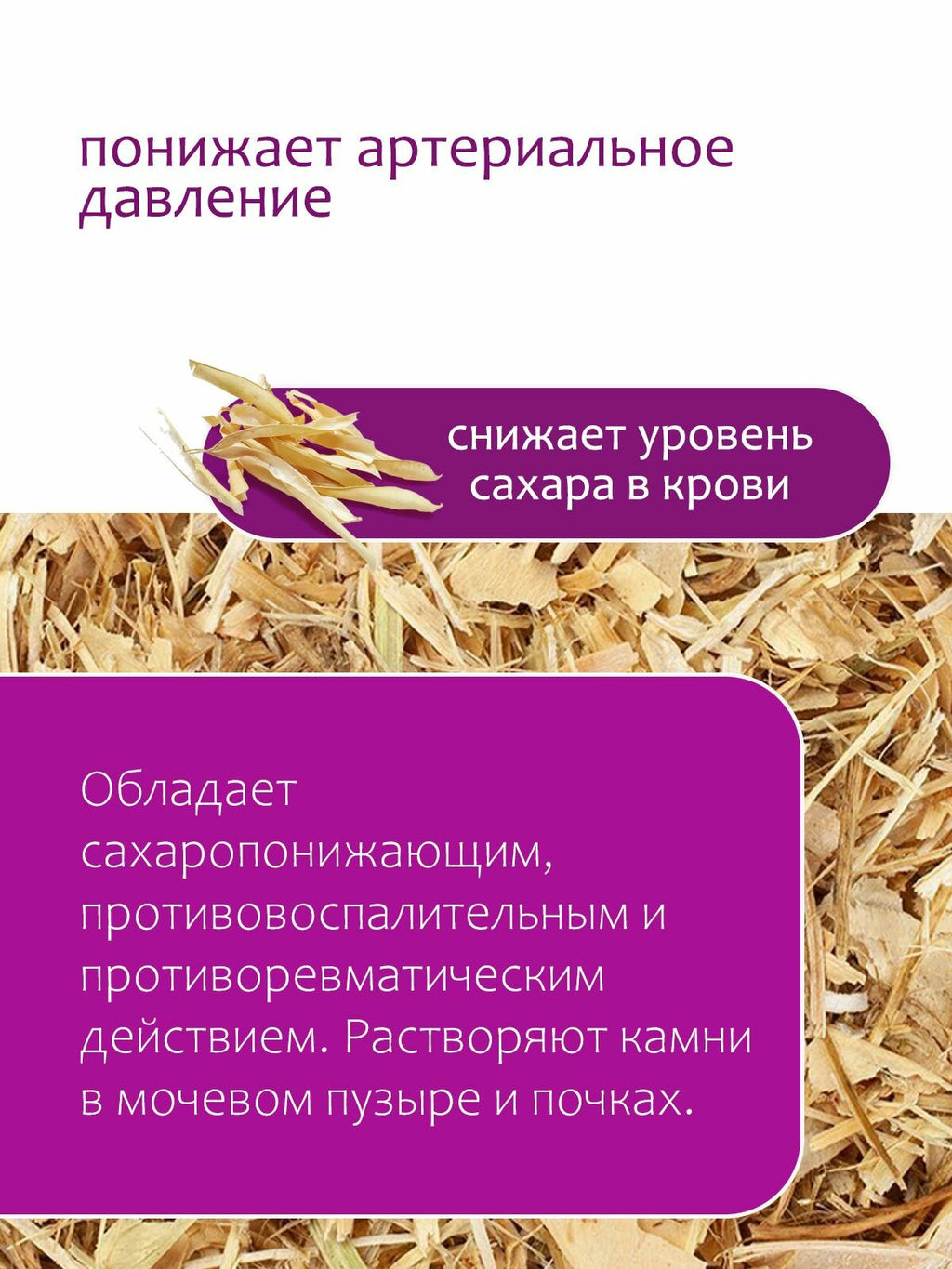 Фасоль створкии - Травы горного крыма фото 3