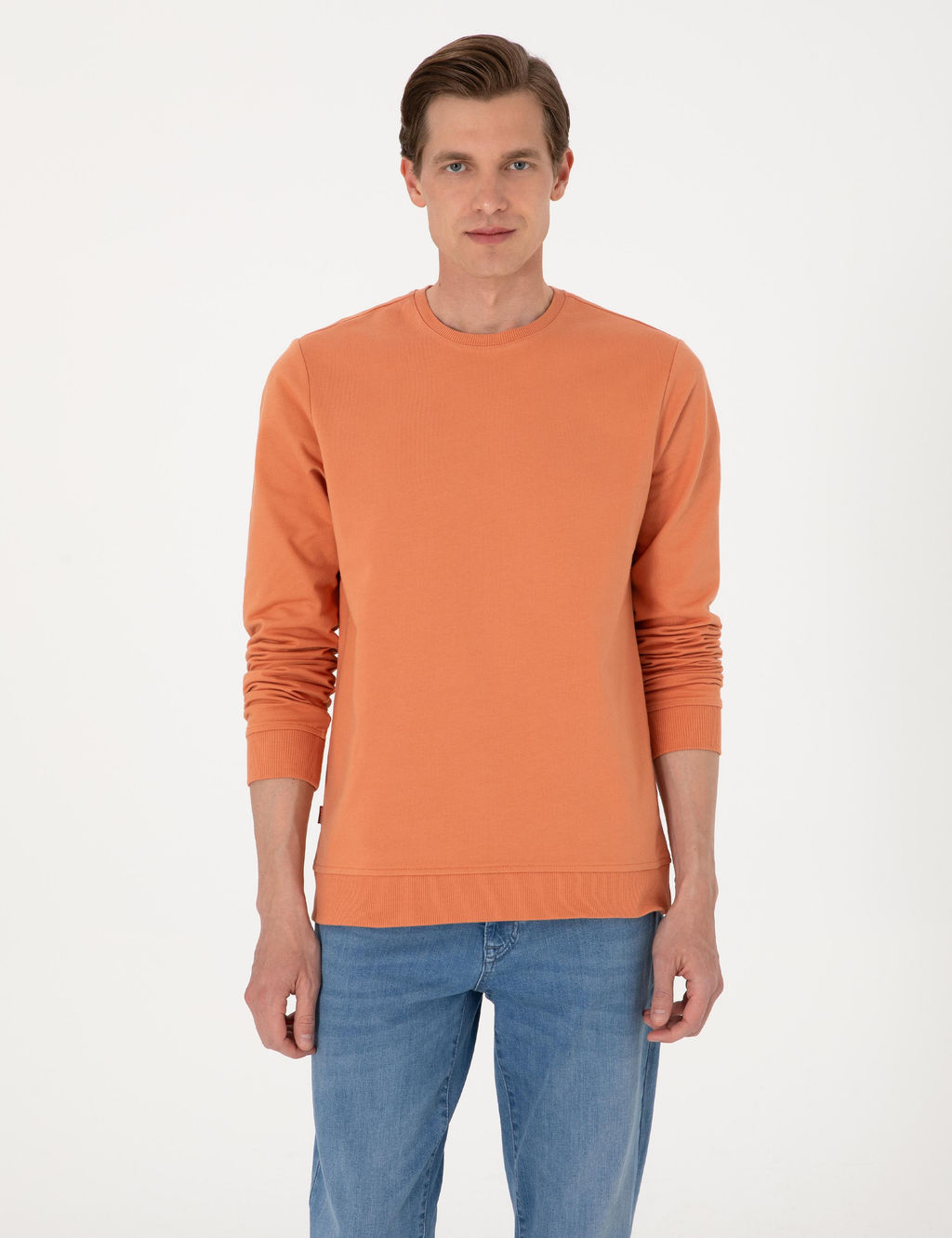 Somon 2 _plik Regular Fit Bisiklet Yaka Basic Sweatshirt - Pierre cardin фото 3