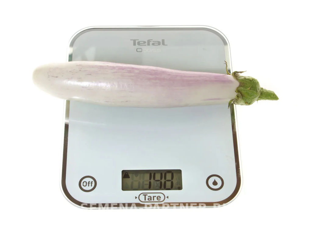 Баклажан Виталик - Партнер фото 6