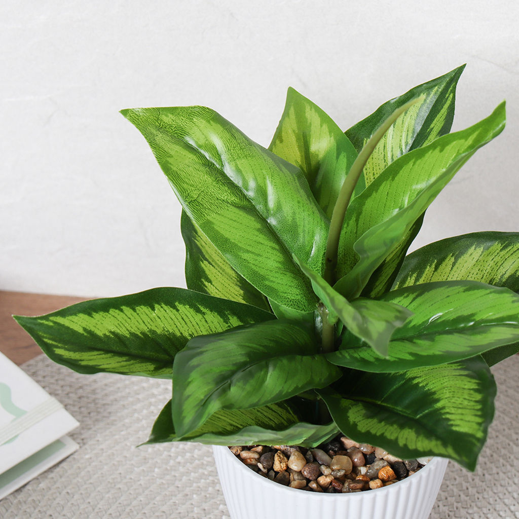 Цветочная композиция Диффенбахия 26 см / 9090-12 /уп 12/96/ - Галеонтрейд фото 17