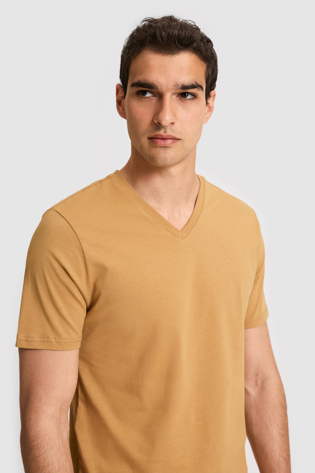 Erkek Regular Fit V Yaka Coconut Basic Ti__rt