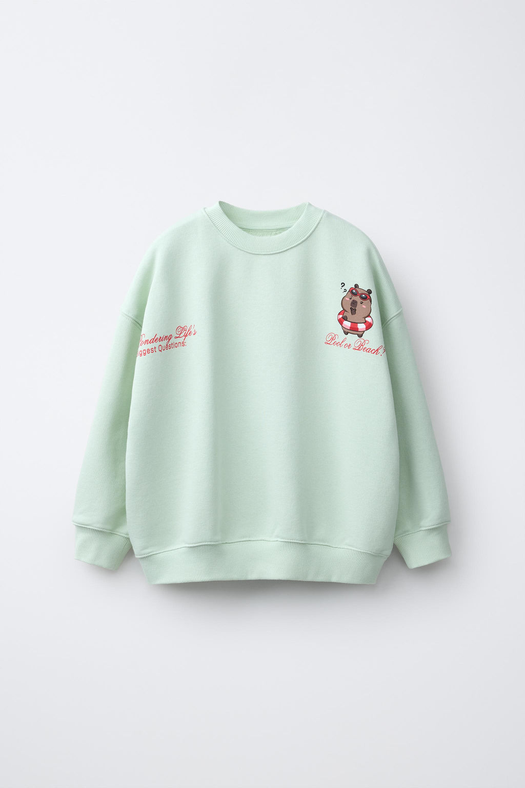 SUDADERA ESTAMPADA CAPIBARA CAPYFUN  / Verde claro - Zara фото 3