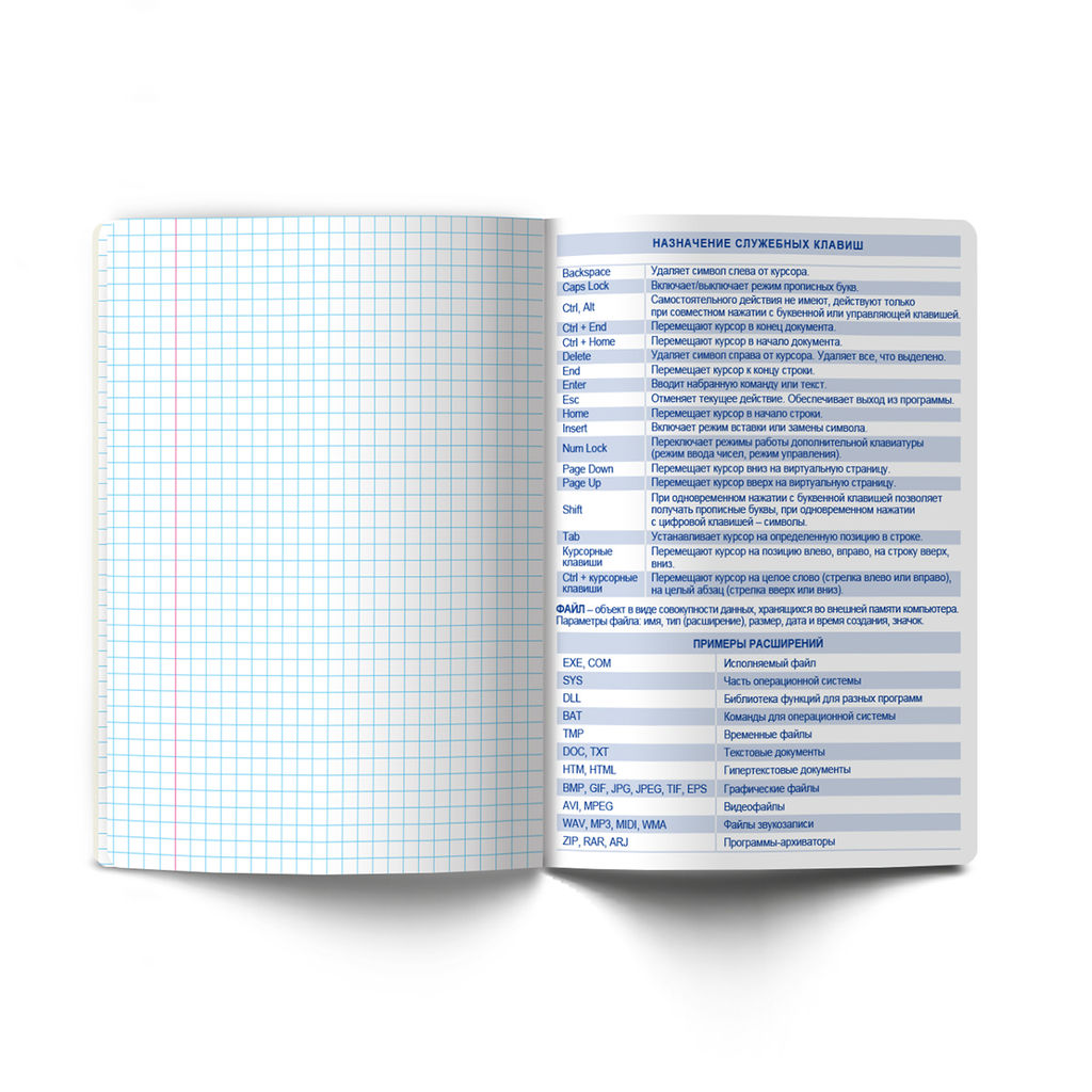 Светоч Т137 Тетрадь со справочным материалом Академия наук, A5 48 л. на скобе 60 г/кв.м , белизна 90 % 10 шт. , клетка 01282 Академия наук Информатика  фото 5