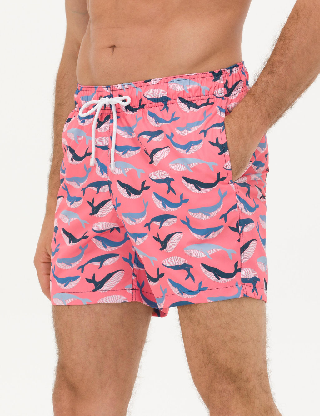 Pembe Deniz _ortu