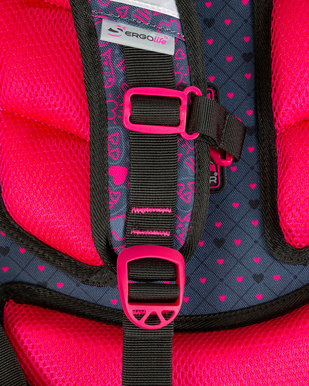 Школьный рюкзак SK1-22 - Steiner фото 16