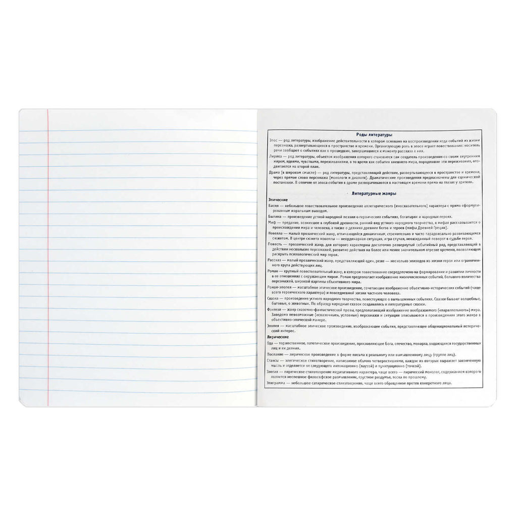 Тетрадь предметная арт. 69832/ 16 КОТЫ МЕМЫ ЛИТЕРАТУРА