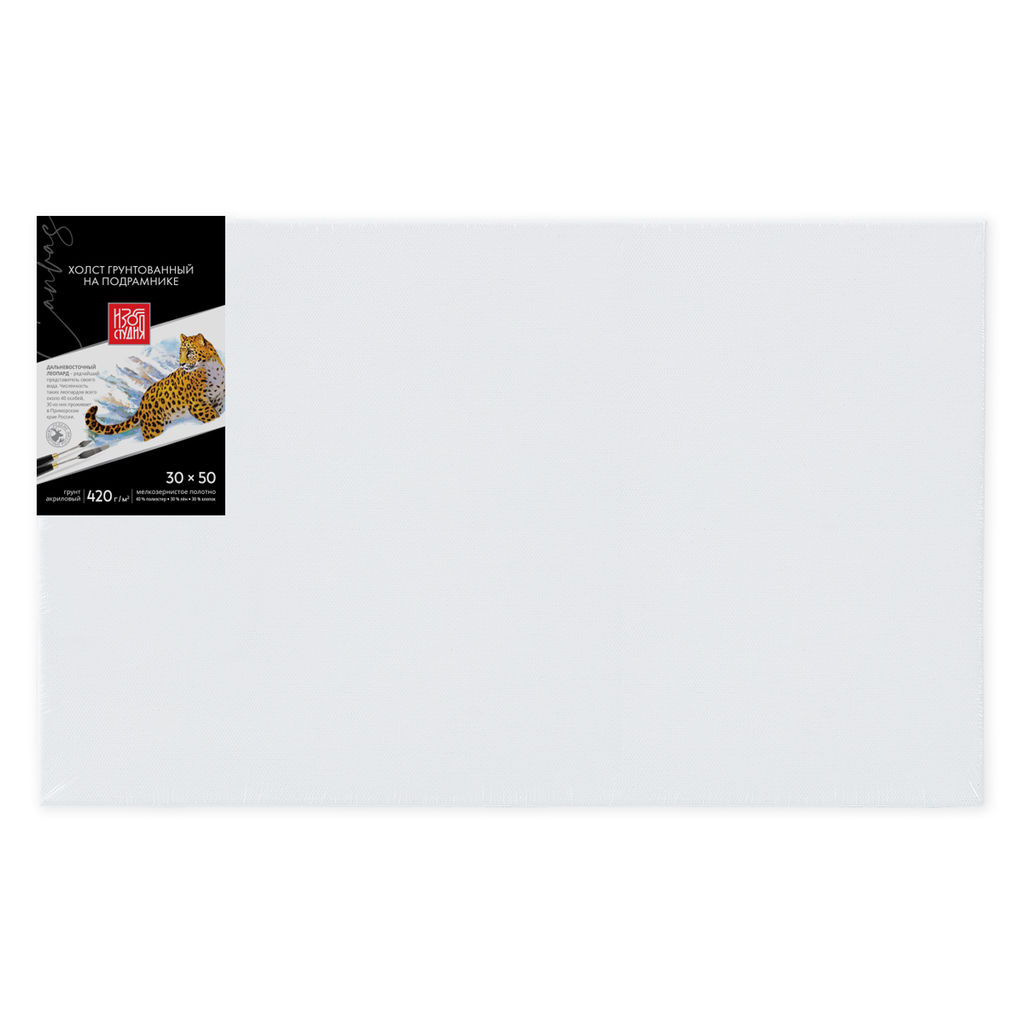 Холст грунтованный на подрамнике Аква-колор Изостудия IZO-MCFG-3050 40% полиэстер, 30% лён, 30% хлопок 30 х 50 см 420 г/кв.м 2 шт мелкозернистый