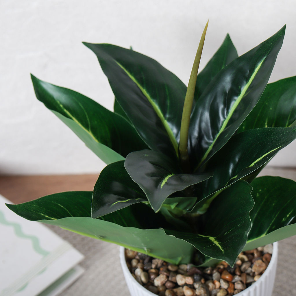 Цветочная композиция Диффенбахия 26 см / 9090-12 /уп 12/96/ - Галеонтрейд фото 21