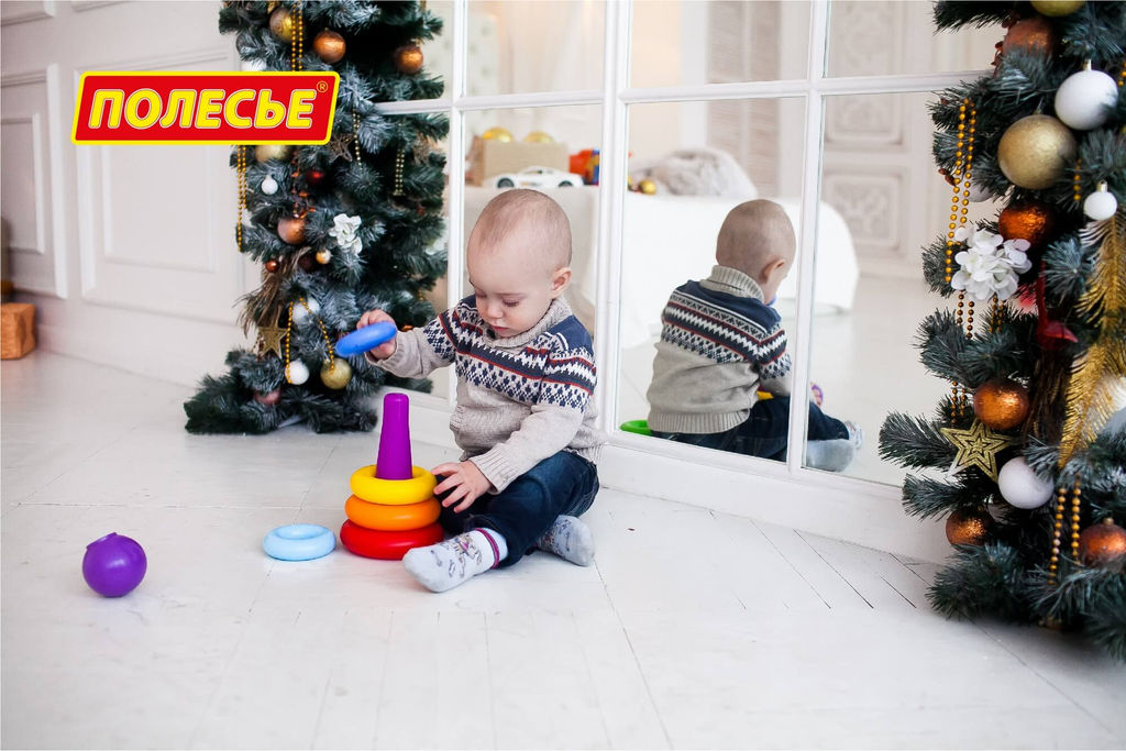 Пирамидка Колечко-шар (8 элементов), h=240 мм - Полесье фото 7