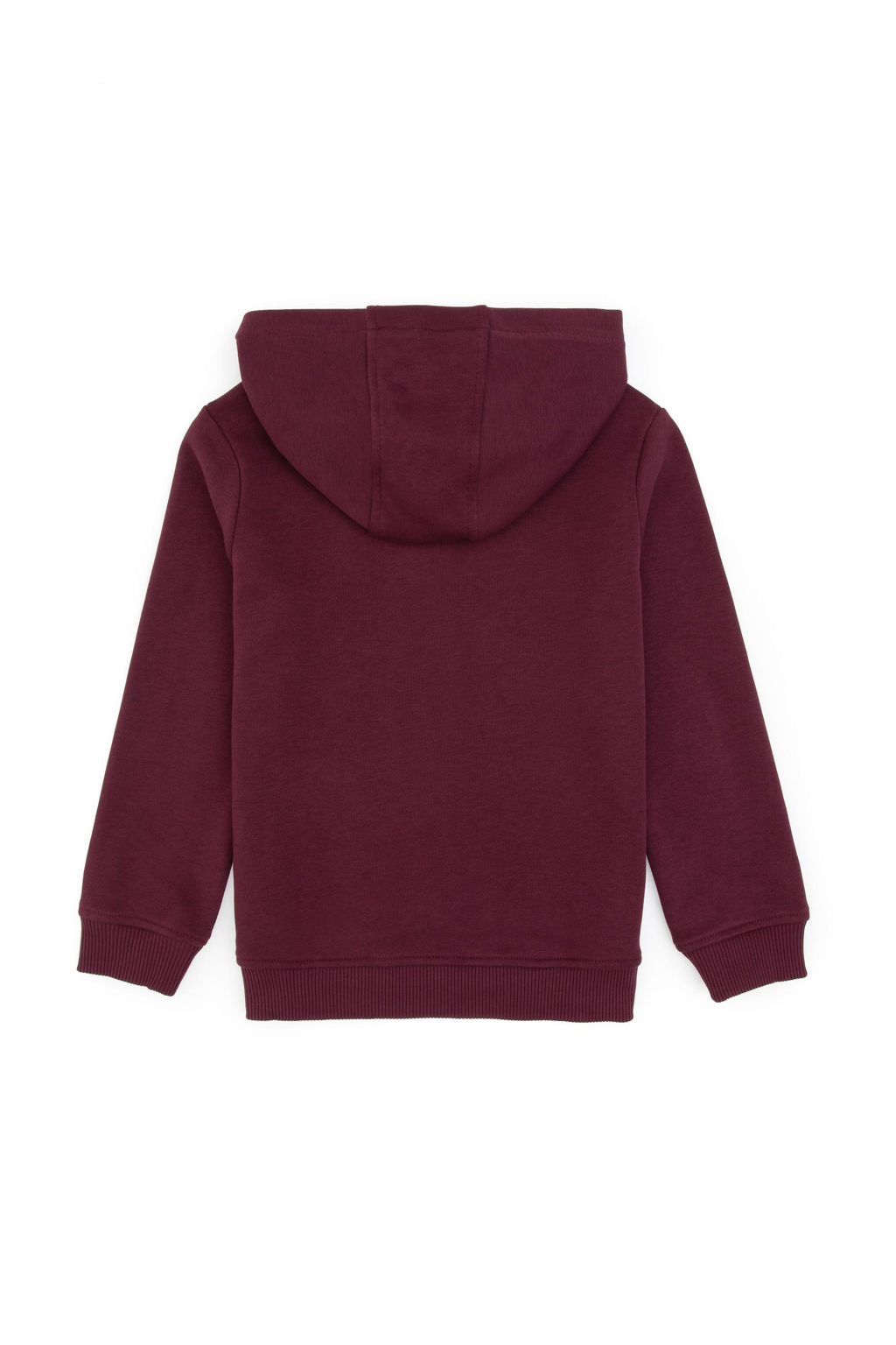 Erkek _ocuk Bordo Fermuarl_ Kap__onlu Sweatshirt - U.s. polo assn фото 2