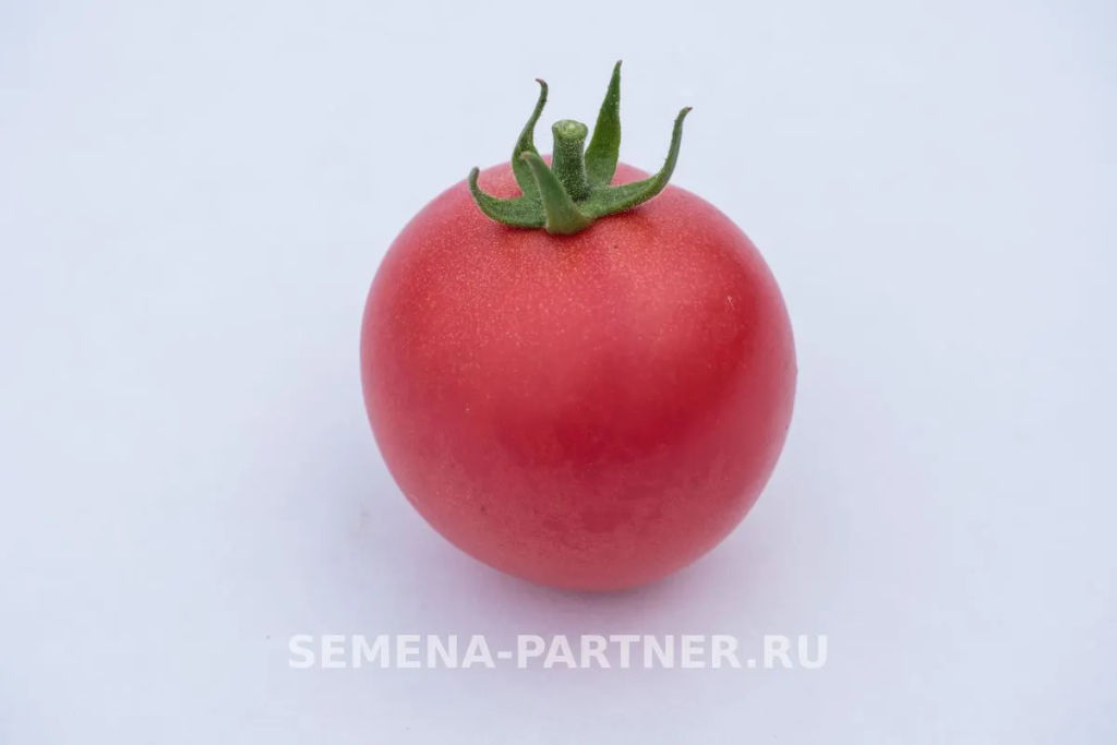 Томат Малиновый Земледелец - Партнер фото 4