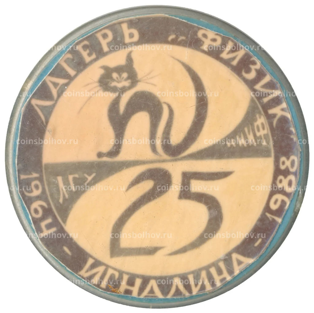 Значок Игналина лагерь физик