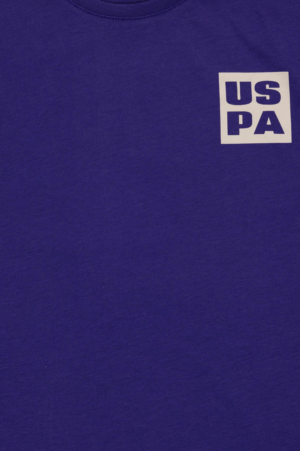 Фиолетовая футболка с круглым вырезом для мальчиков - U.s. polo assn фото 5