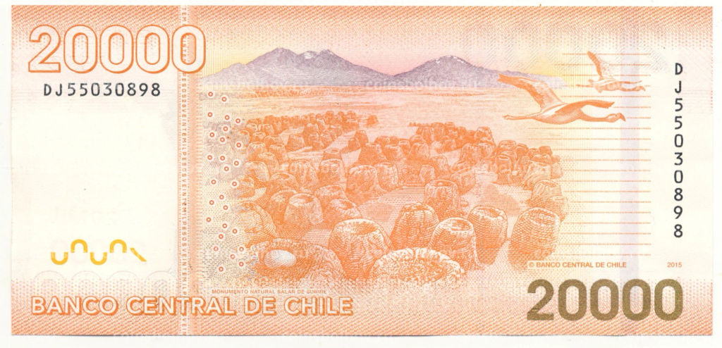 Банкнота 20000 песо 2015 года Чили