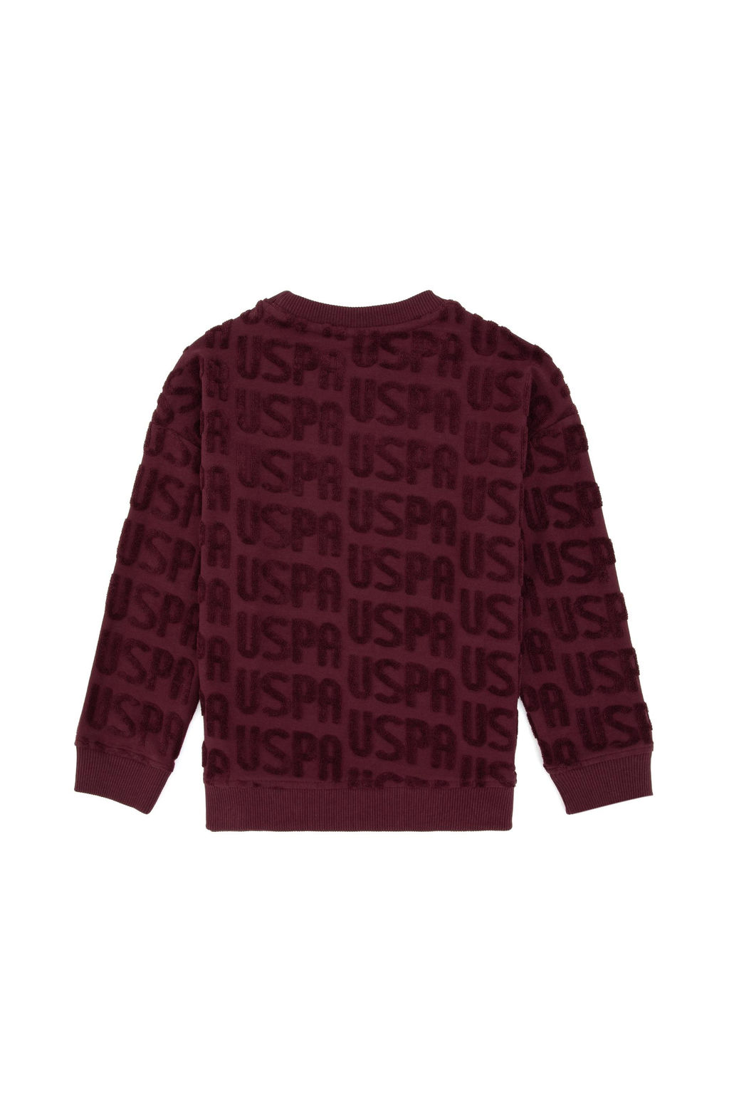 Erkek _ocuk Bordo Bisiklet Yaka Sweatshirt - U.s. polo assn фото 3