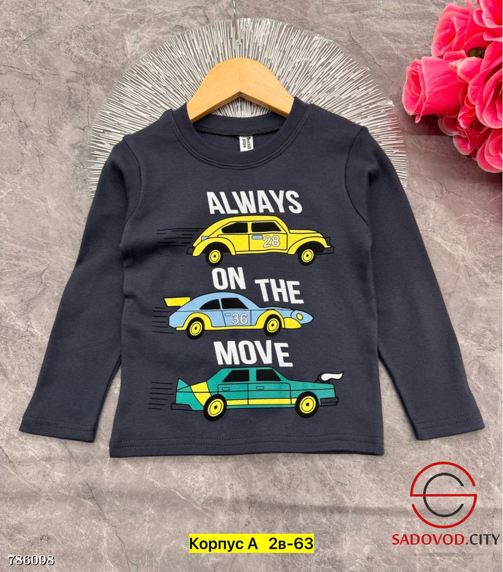 Кофта для мальчика с рисунком