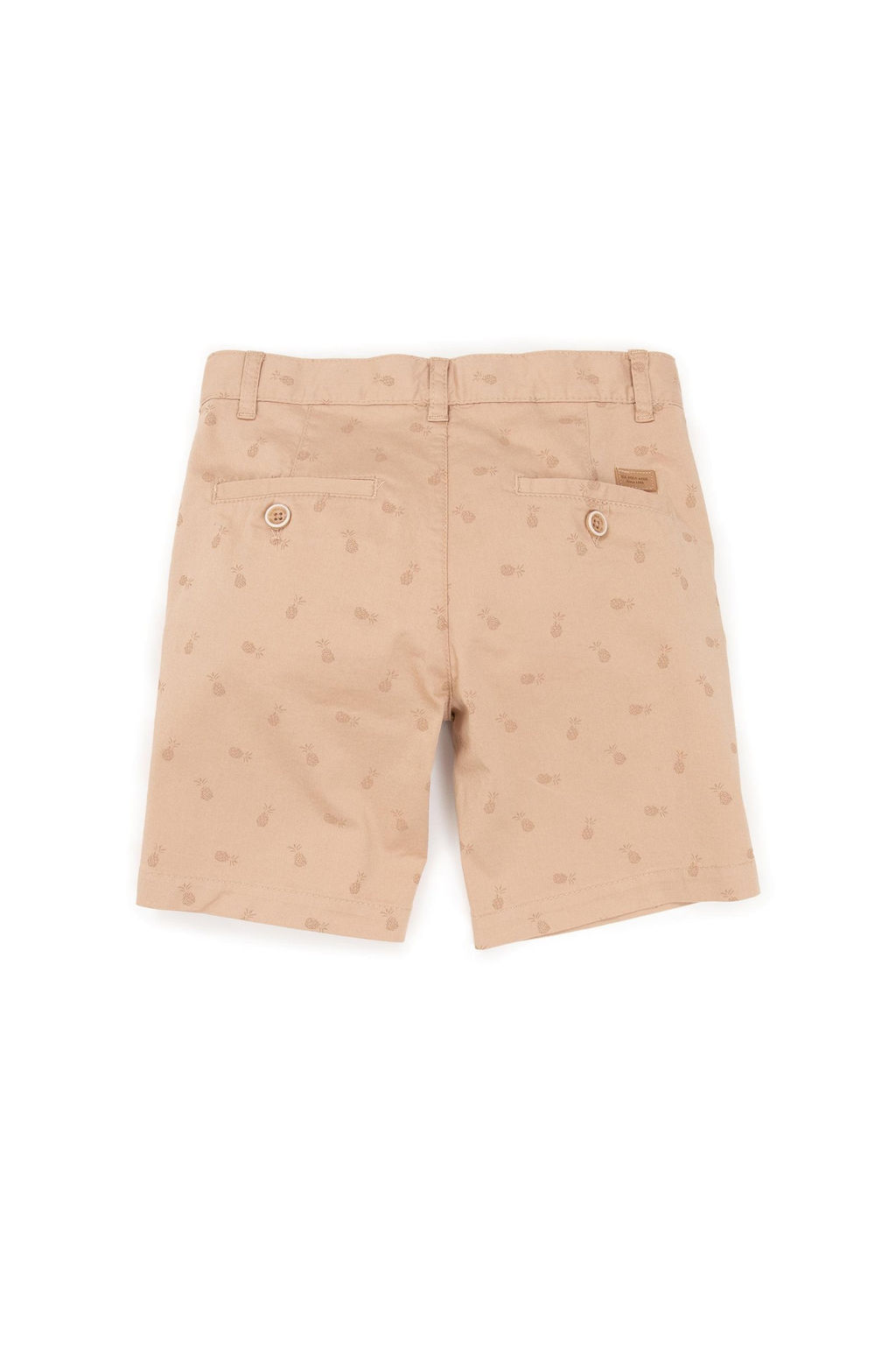 U. S. Polo Assn Шорты из песочной ткани для мальчиков - U.s. polo assn фото 5