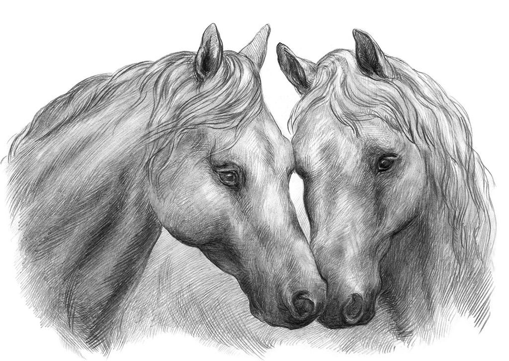ФРЕЯ RPSB-0046 Лошади Скетч для раскраш. чернографитными карандашами 29.5 х 20.5 см 1 л. .