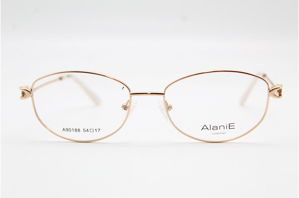 Оправа ALANIE 90188 54-17-140 С1