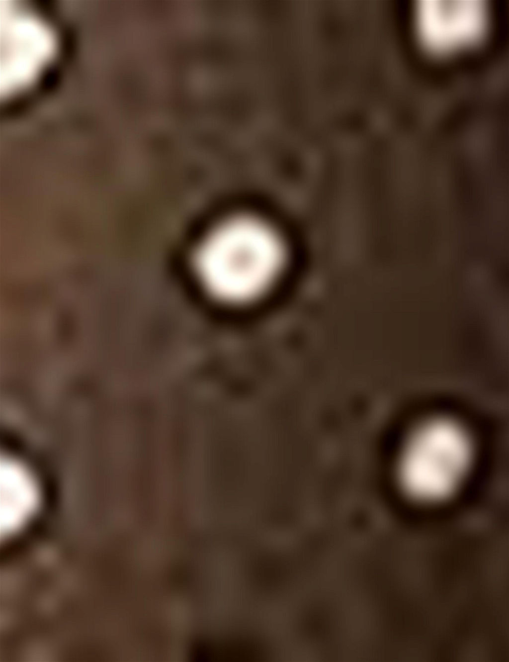 Haki Dokuma Elbise - Pierre cardin фото 8