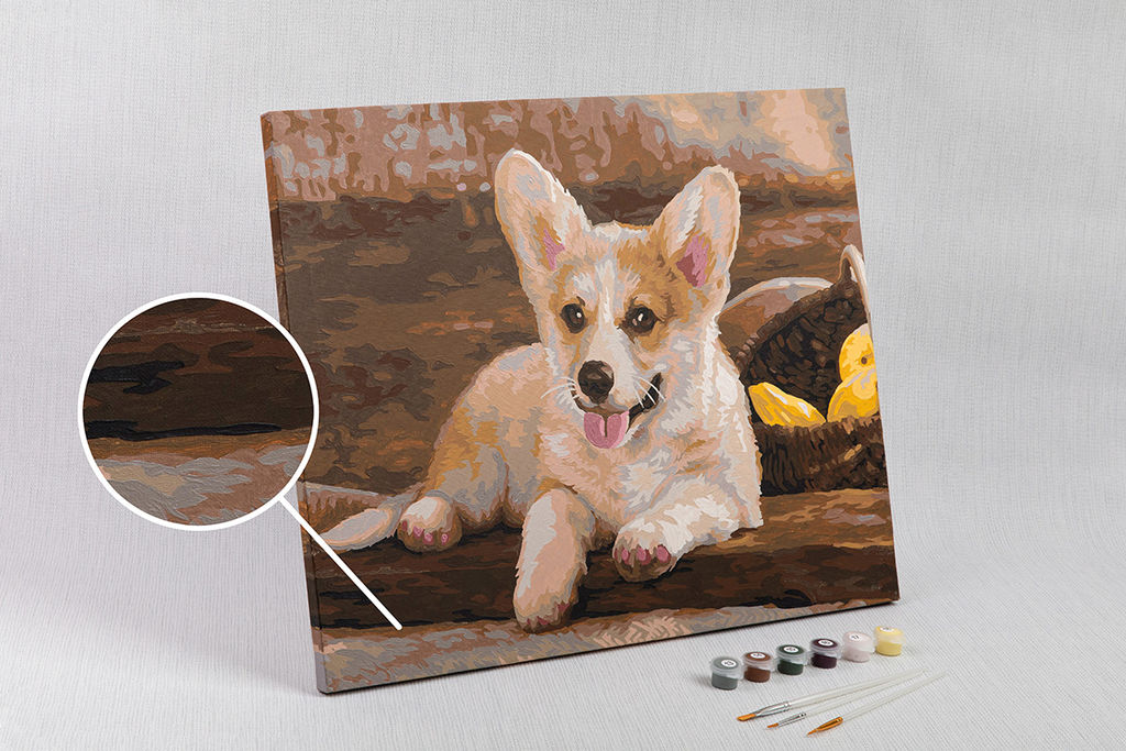 ФРЕЯ PNB/R1 №71 Набор для раскрашивания по номерам 40 х 50 см Вельш-Корги  фото 6