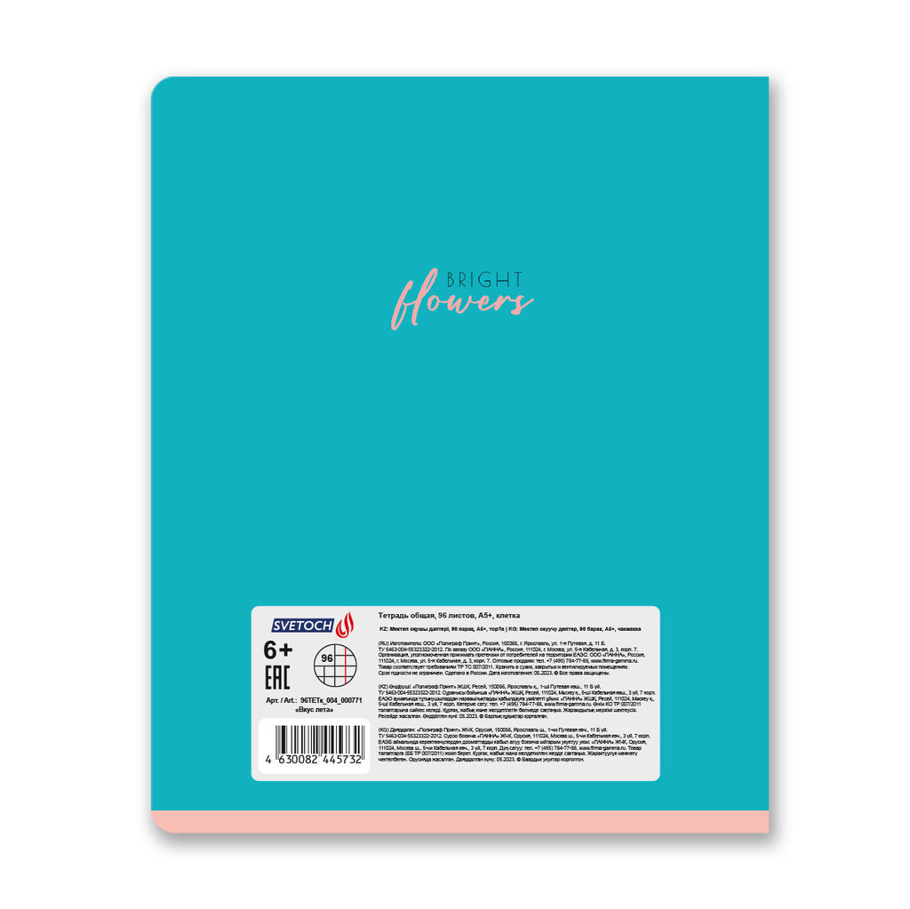 Светоч 96ТЕТк-004 Тетрадь ученическая общая, глянцевая ламинация, A5 96 л. на скобе 60 г/кв.м , белизна 100 % 5 шт. клетка 000771 Вкус лета  фото 9