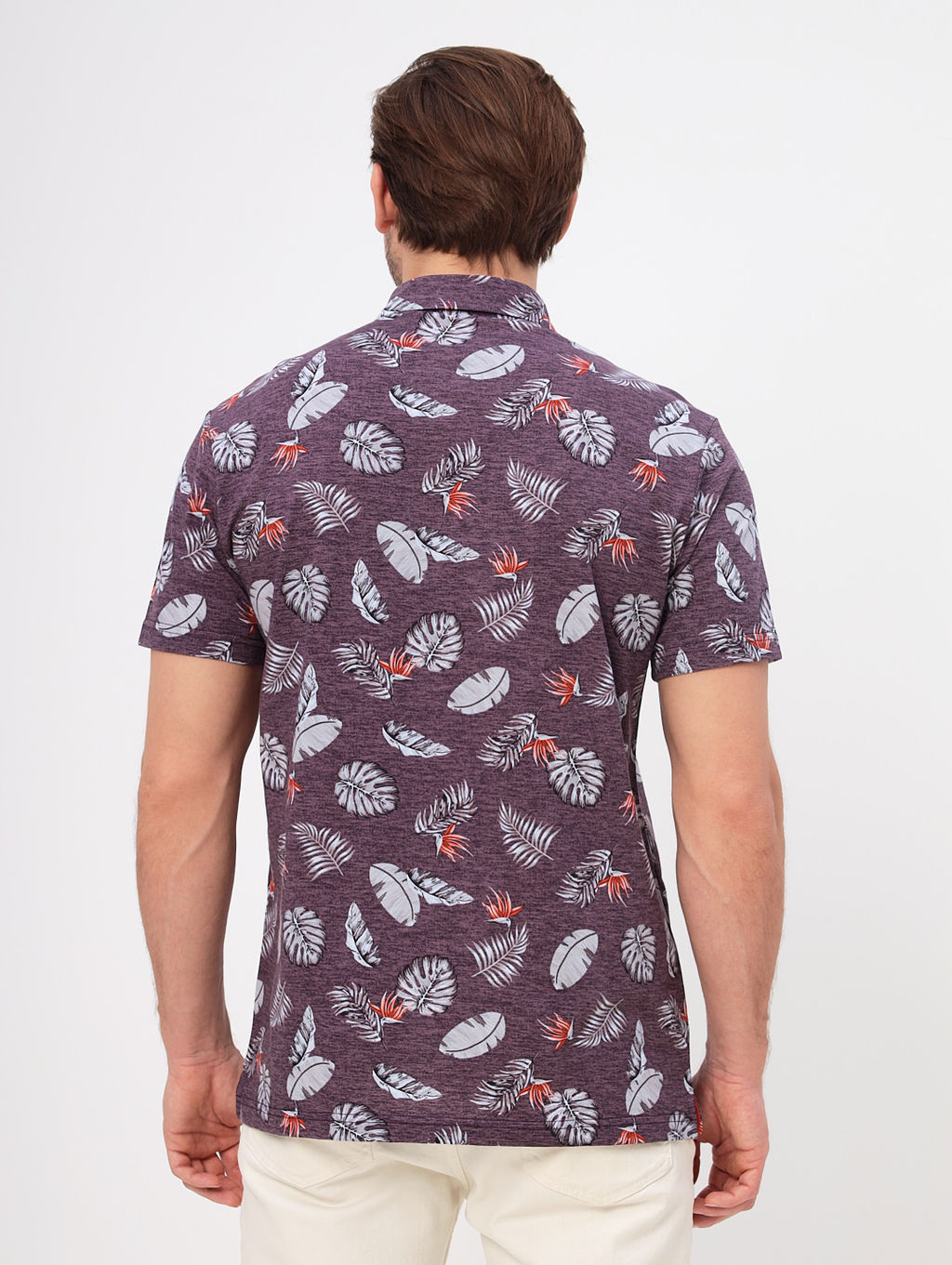 Джемпер мужской с воротником поло короткий рукав GREG G144-KP1246T-UT17 (лист)  фото 4