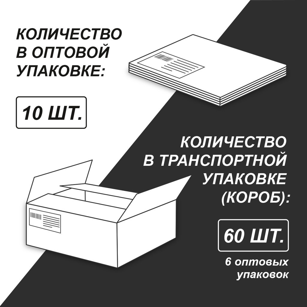 Светоч Т138 Тетрадь со справочным материалом Академия наук, A5 48 л. на скобе 60 г/кв.м , белизна 90 % 10 шт. , линия 01279 Академия наук Русский язык
