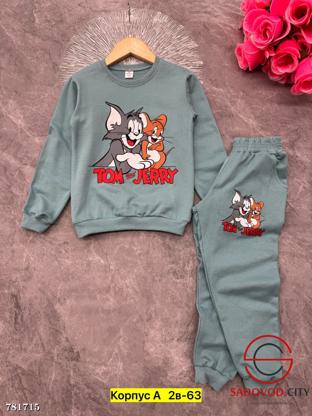 Костюм спортивный двойка