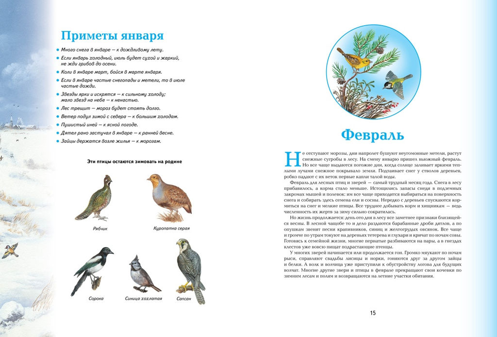 Времена года. Иллюстрированная энциклопедия. Свечников В. - Махаон фото 5