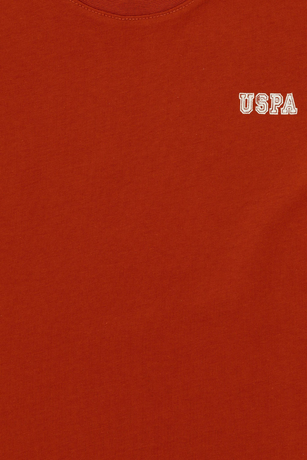 Футболка с плиткой для мальчика Неожиданная скидка в корзине - U.s. polo assn фото 3