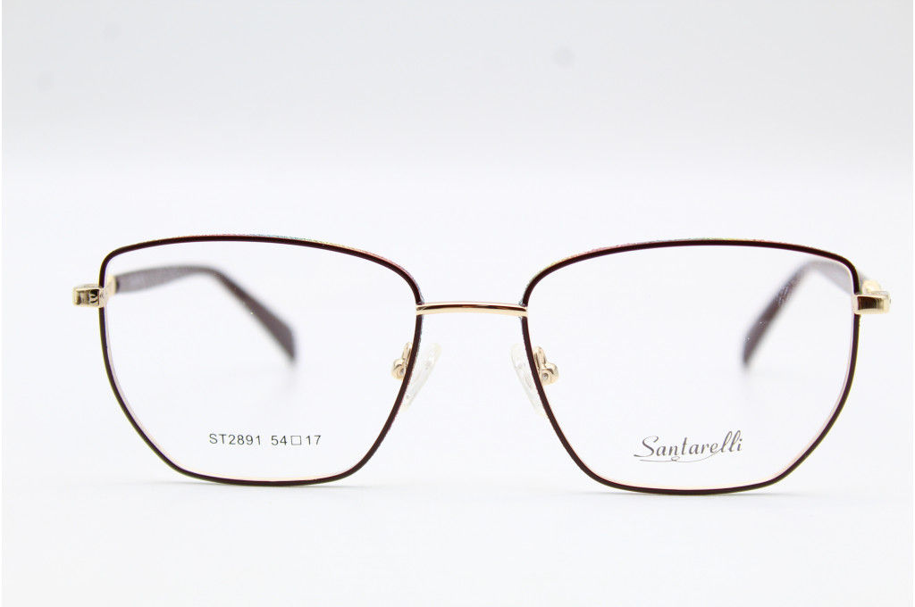 Оправа SANTARELLI ST 2891 54-17-142 C3