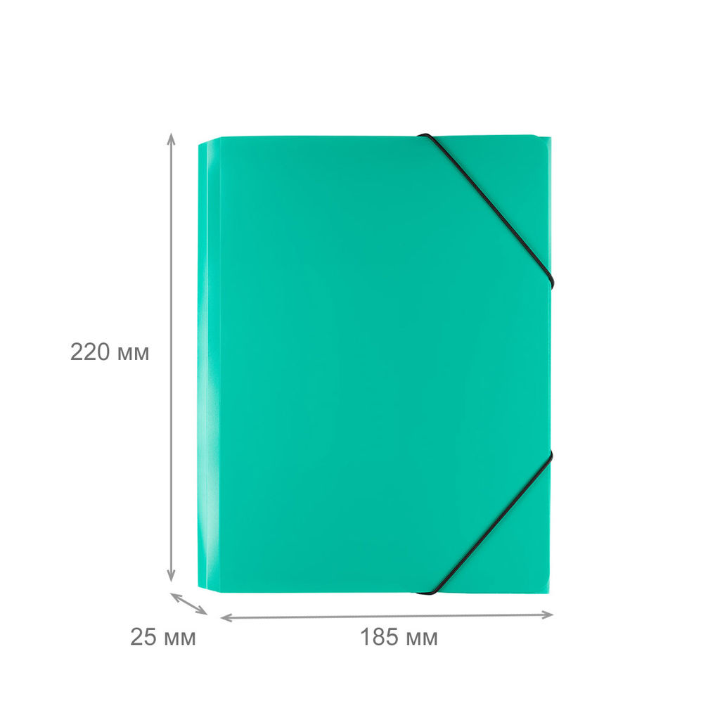 Expert Complete Classic Папка на резинке A5 500 мкм 25 мм песок 6 шт. зеленый ЕС23444513