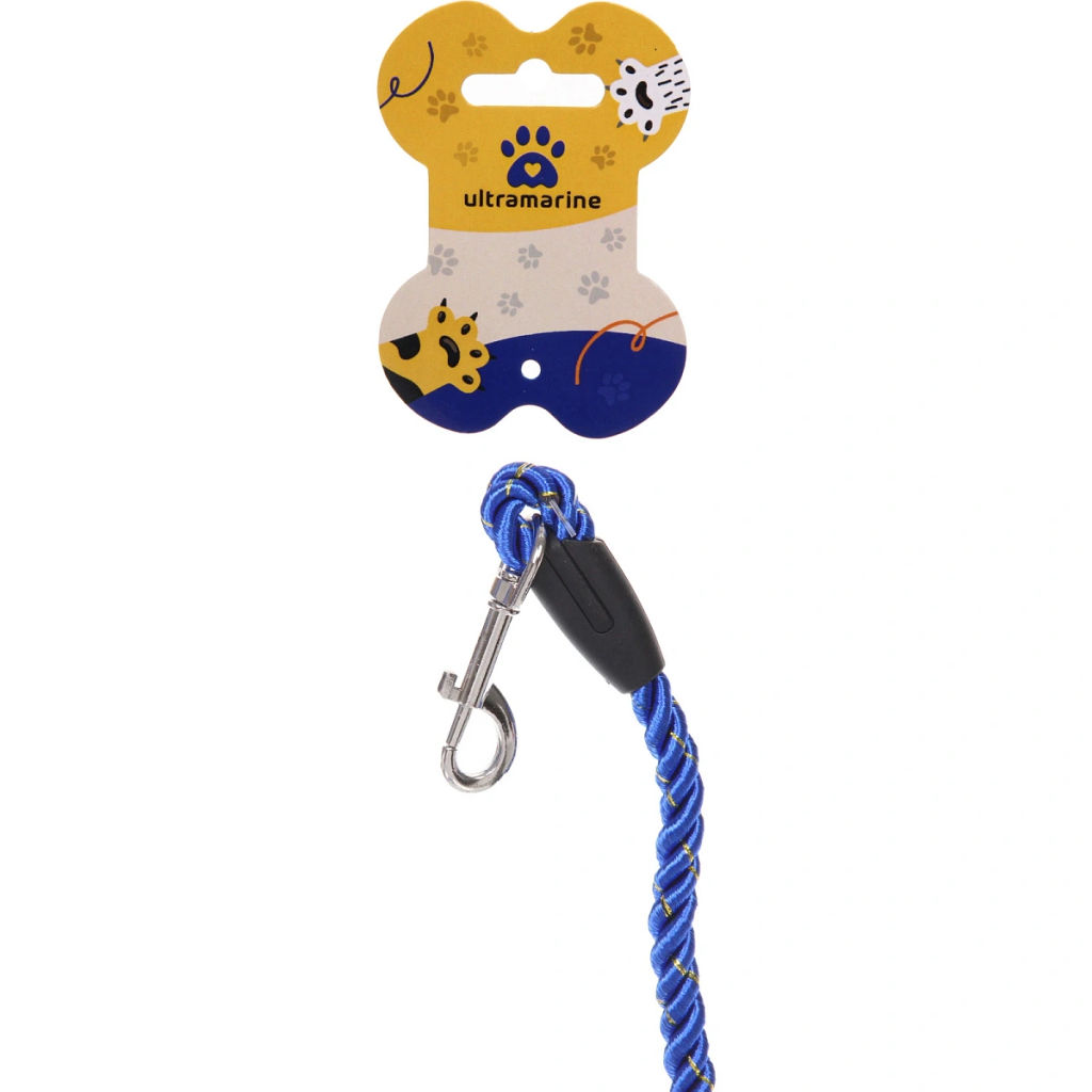 Цена за 3 шт. Поводок нейлоновый с карабином "Бро на прогулке", цвет синий, 1.3метра