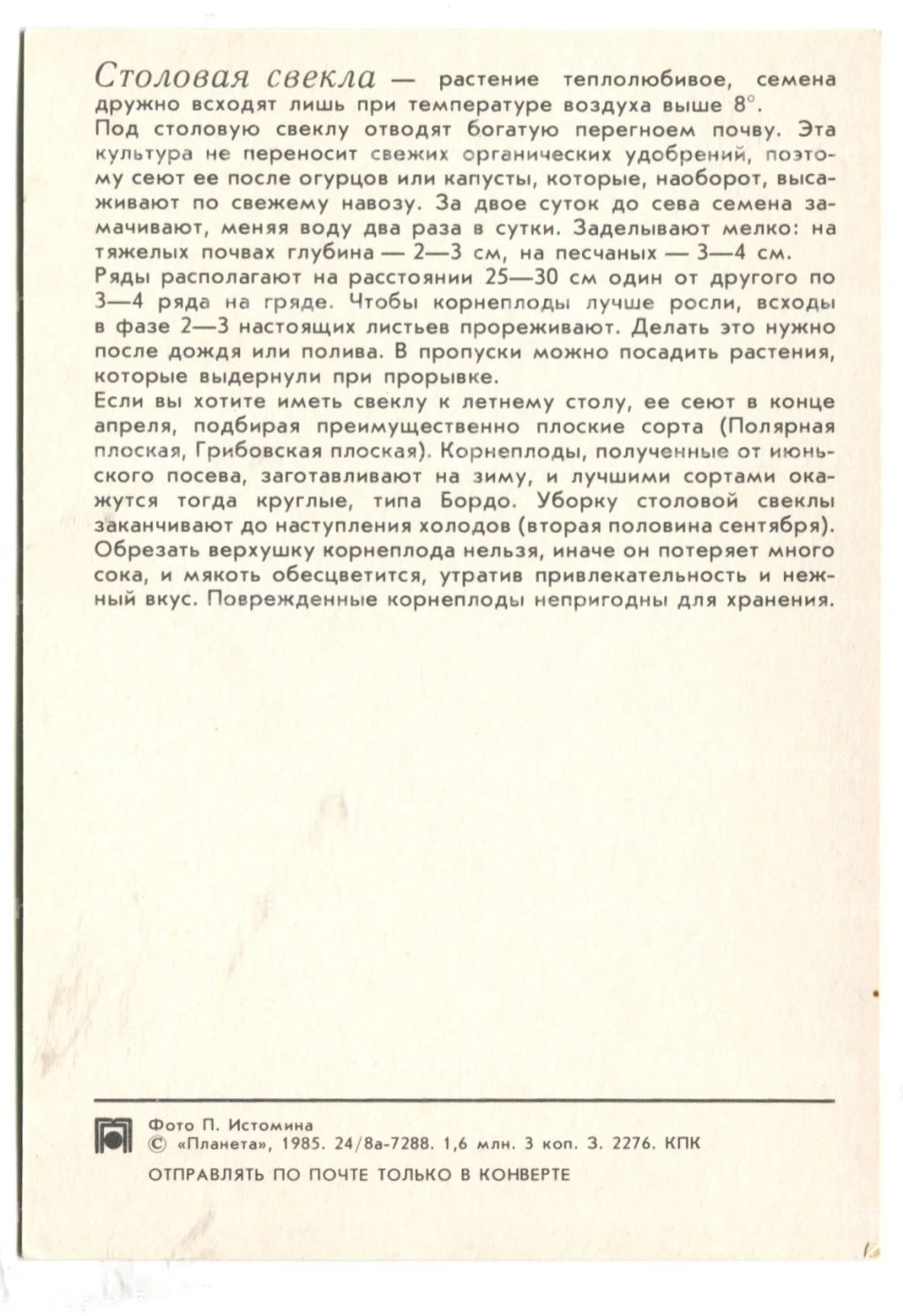 Открытка Свекла