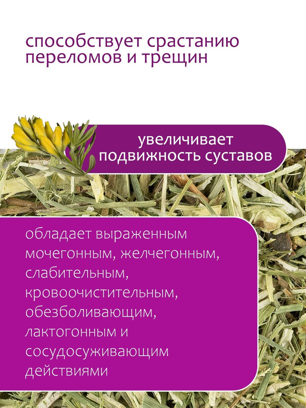 Дрок трава - Травы горного крыма фото 5
