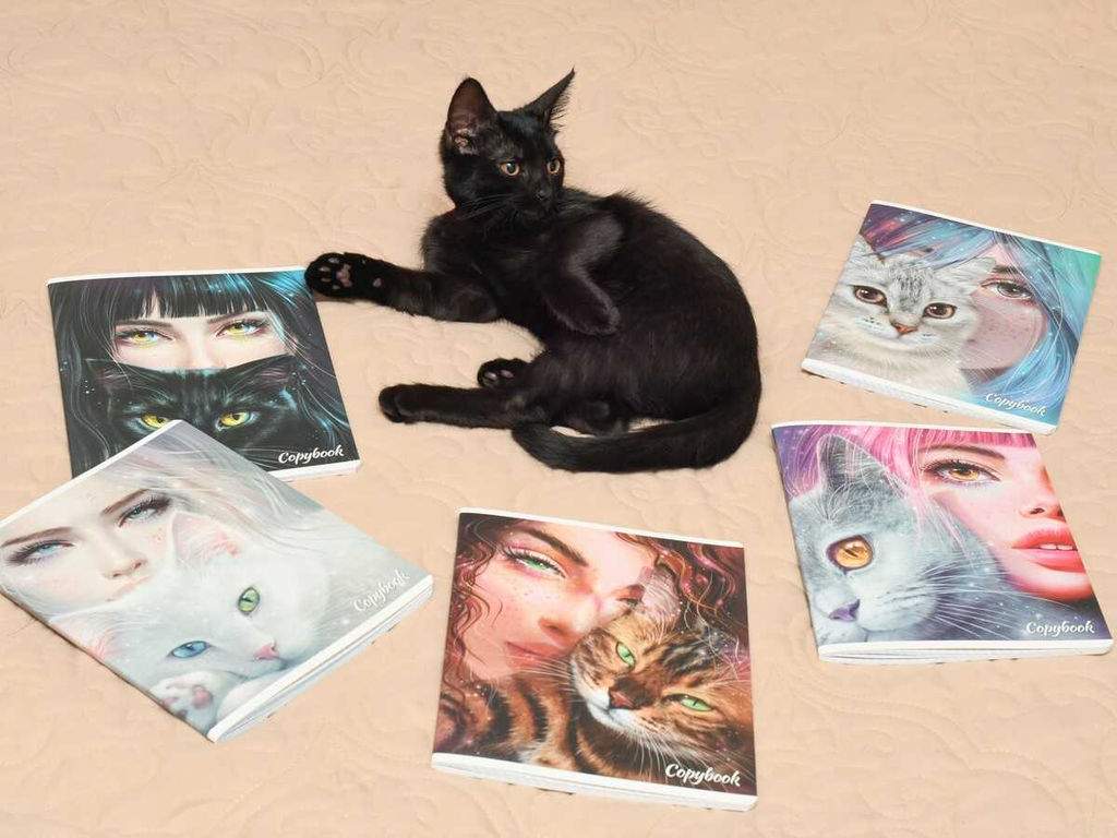 Цена за 10 шт. Тетрадь, 48 л, клетка, арт. 64269/ 10 ЗЕРКАЛО ДУШИ