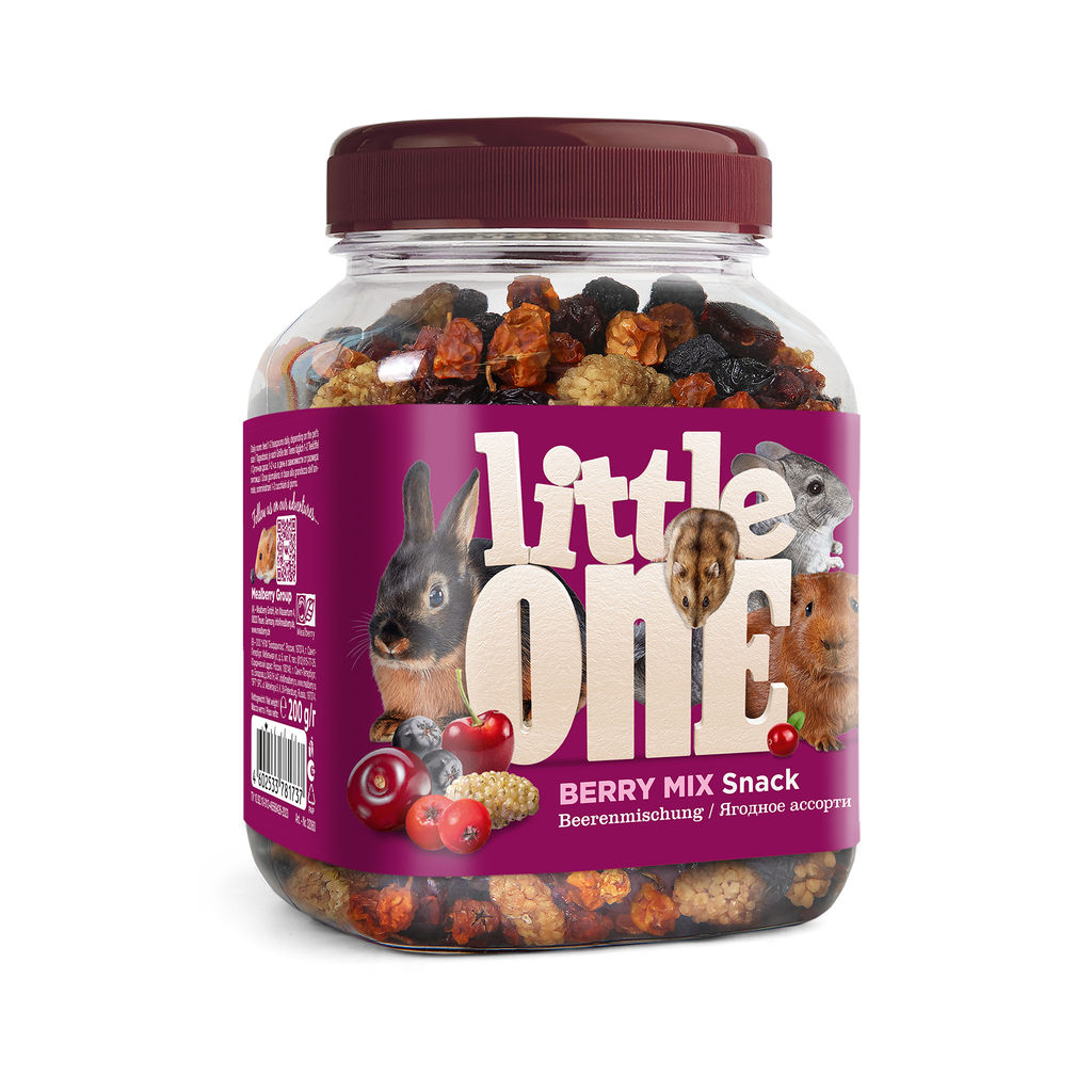 Ягодное ассорти - лакомство для всех видов грызунов