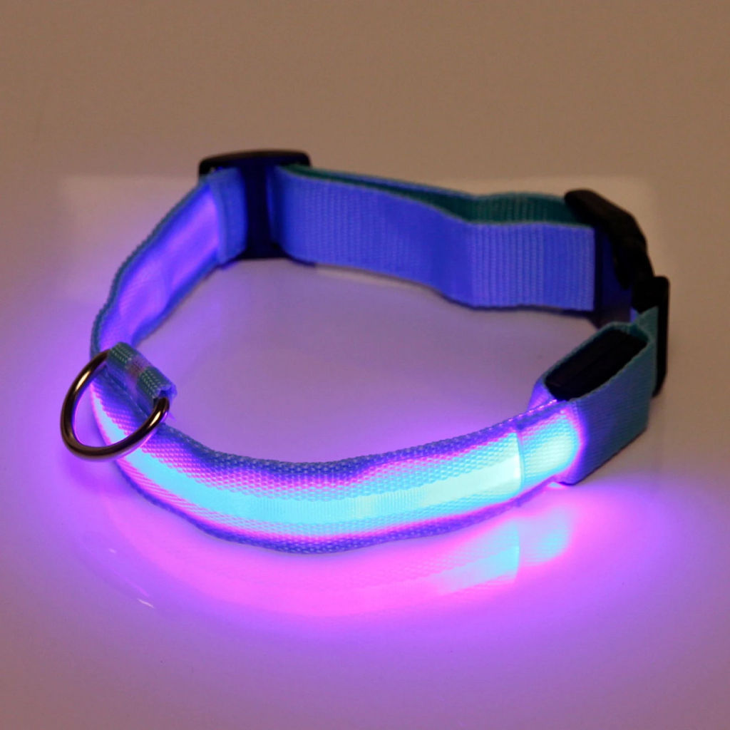 Ошейник с подсветкой и кольцом для жетона для средних пород собак "Бро видно", цвет голубой, размер M - 2,5*50см (лейбл)