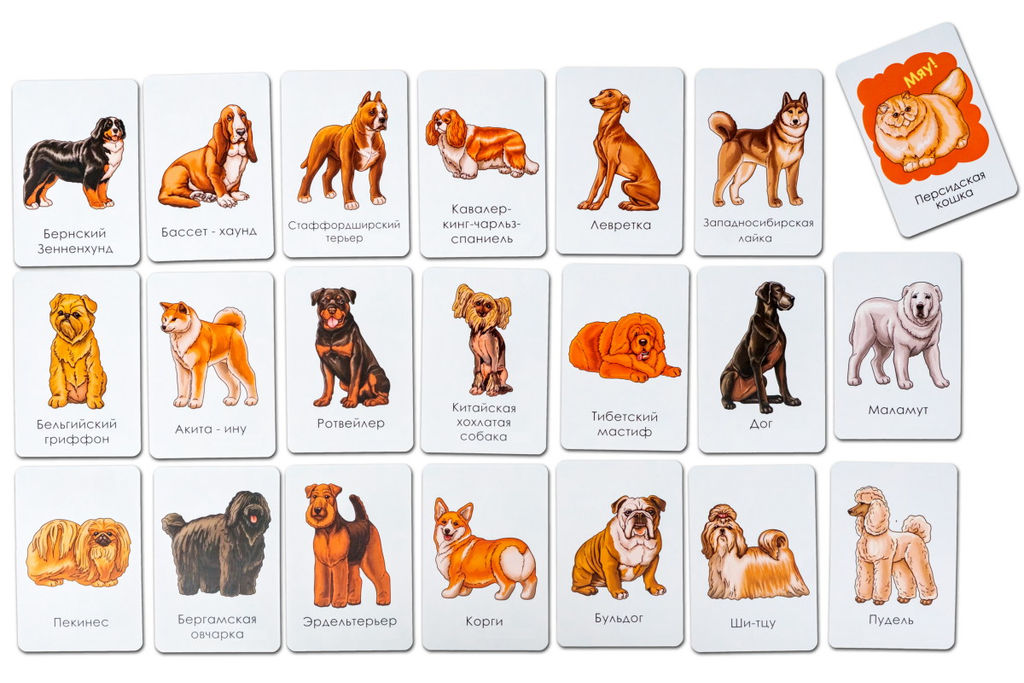 Набор карточек Породы собак. Часть 2 - Smiledecor фото 2