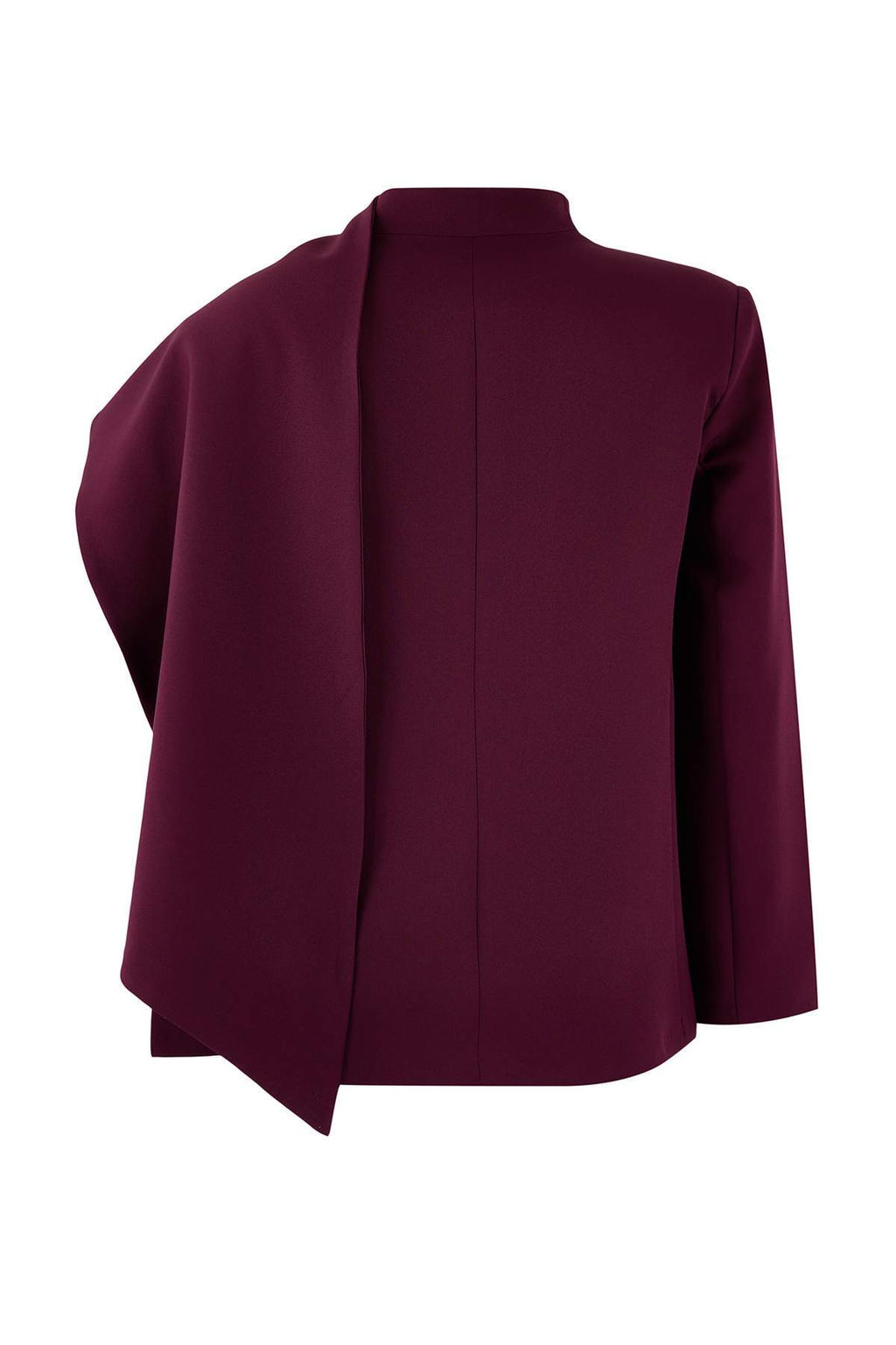 Bordo Sal Yaka Regular/Normal Kal?p Dokuma Astarl? Vatkal? Blazer Ceket TWOSS26BC00010