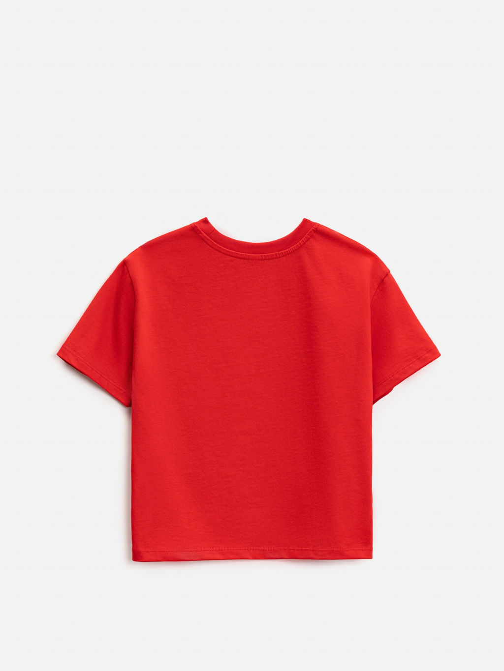 ACOOLA / Футболка детская для мальчиков Robinsoni красный  фото 2