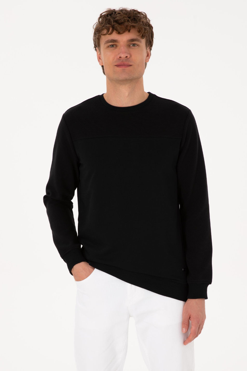 Erkek Bisiklet Yaka Regular Fit Siyah Sweatshirt